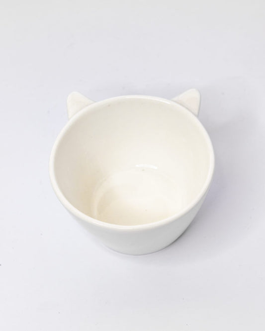 Pozuelo Gato