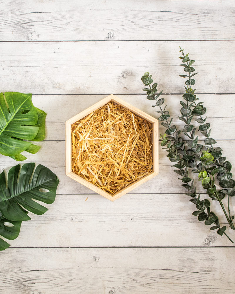 Base Hexagonal de Pino