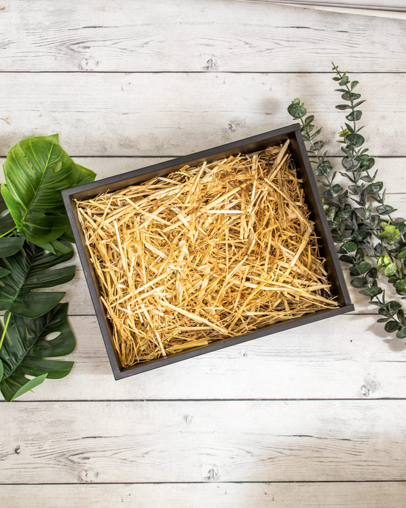 Caja Grande "B" Negra