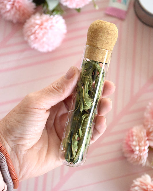 Tubo Infusor con cedrón