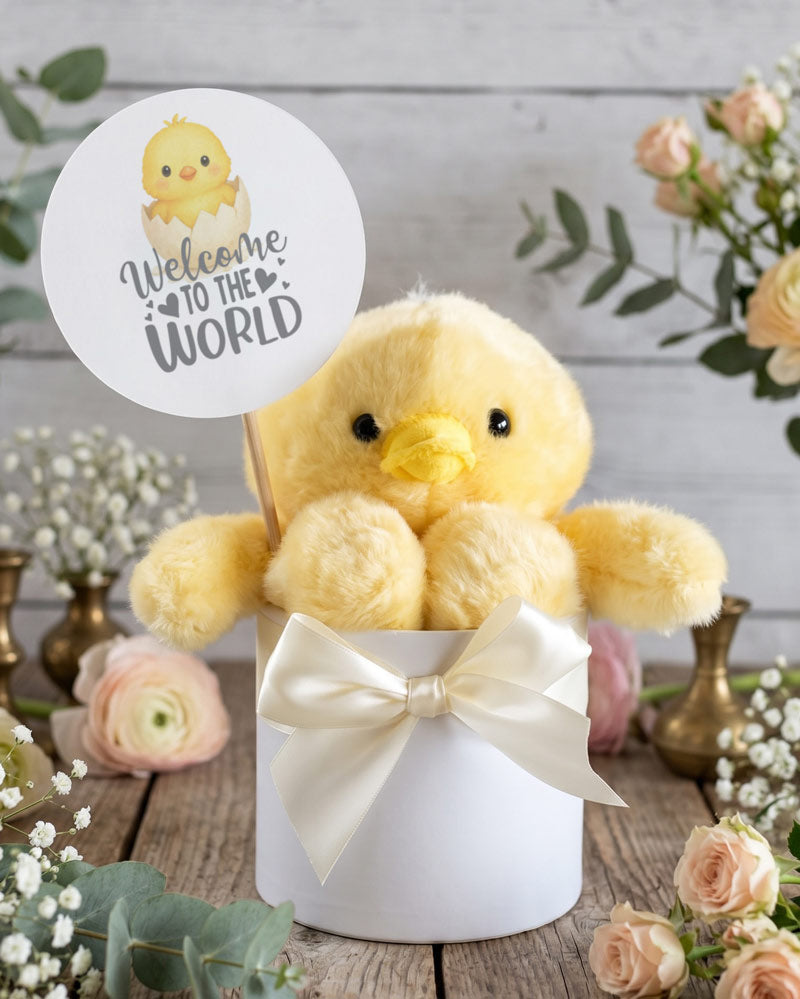Welcome to the World